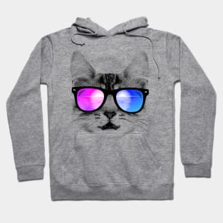 House cat in the beach Hoodie